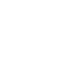 American International Group Inc. New logo