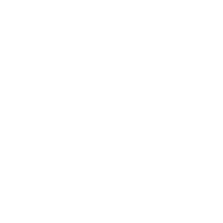 BioRestorative Therapies Inc. Common Stock (NV) logo