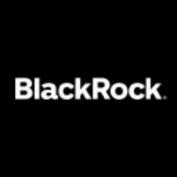 Blackrock MuniHoldings Fund Inc. logo