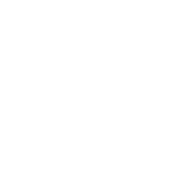 NetApp Inc. logo