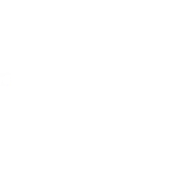 Prime Medicine Inc. logo