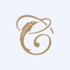 Top Wealth Group Holding Limited logo